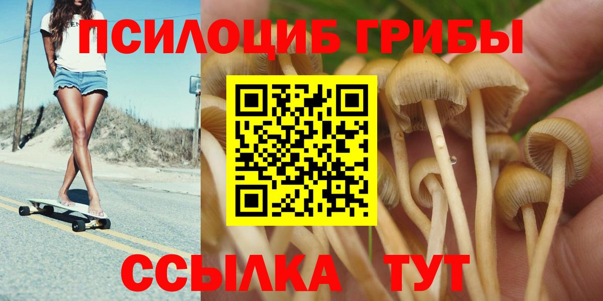 Галлюциногенные грибы прущие грибы  Вход с VPN  Похвистнево 